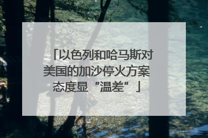 以色列和哈马斯对美国的加沙停火方案态度显“温差”
