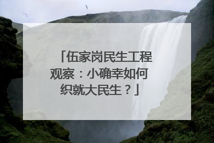 伍家岗民生工程观察：小确幸如何织就大民生？