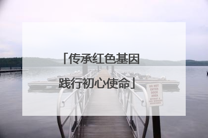 传承红色基因 践行初心使命