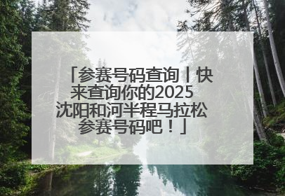 参赛号码查询丨快来查询你的2025沈阳和河半程马拉松参赛号码吧！