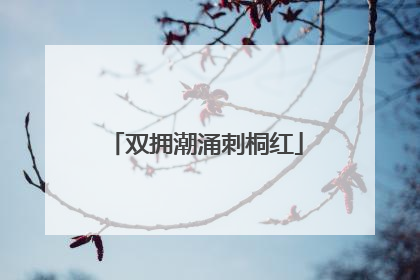 双拥潮涌刺桐红