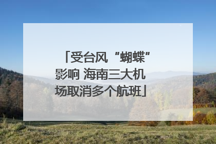 受台风“蝴蝶”影响 海南三大机场取消多个航班