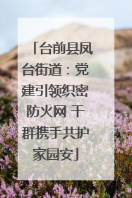 台前县凤台街道：党建引领织密防火网 干群携手共护家园安