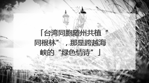 台湾同胞随州共植“同根林”，那是跨越海峡的“绿色情诗”