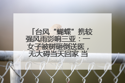 台风“蝴蝶”携较强风雨影响三亚：一女子被树砸倒送医，无大碍当天回家 当地已紧急清障
