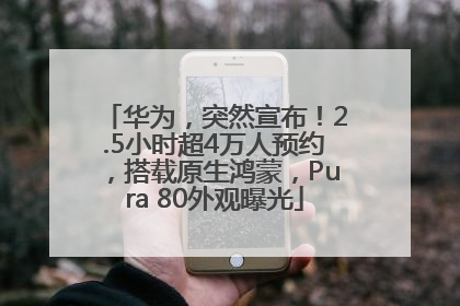 华为，突然宣布！2.5小时超4万人预约，搭载原生鸿蒙，Pura 80外观曝光