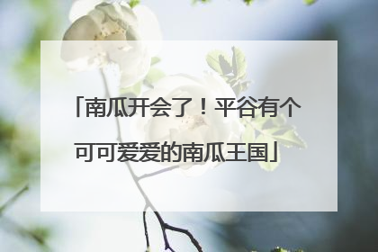 南瓜开会了！平谷有个可可爱爱的南瓜王国