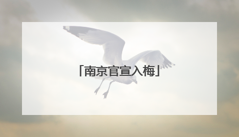 南京官宣入梅