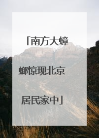 南方大蟑螂惊现北京居民家中