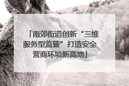 南郊街道创新“三维服务型监管”打造安全营商环境新高地