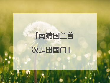 南靖国兰首次走出国门