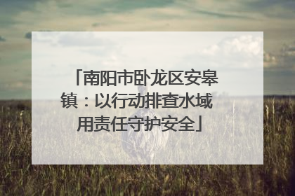 南阳市卧龙区安皋镇：以行动排查水域 用责任守护安全