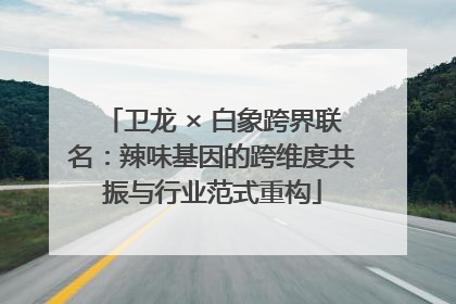 卫龙 × 白象跨界联名：辣味基因的跨维度共振与行业范式重构