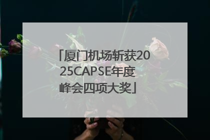 厦门机场斩获2025CAPSE年度峰会四项大奖