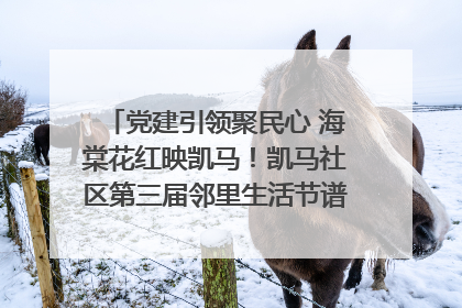 党建引领聚民心 海棠花红映凯马！凯马社区第三届邻里生活节谱写幸福新篇章