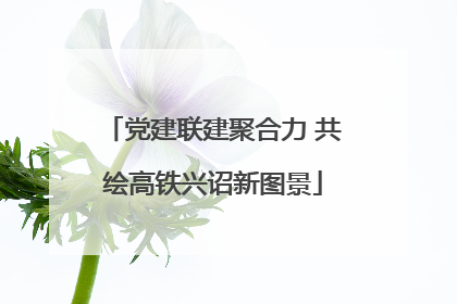 党建联建聚合力 共绘高铁兴诏新图景