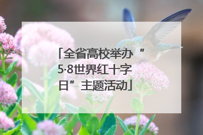 全省高校举办“5·8世界红十字日”主题活动