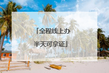 全程线上办 半天可拿证