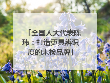 全国人大代表陈玮：打造更具辨识度的未检品牌