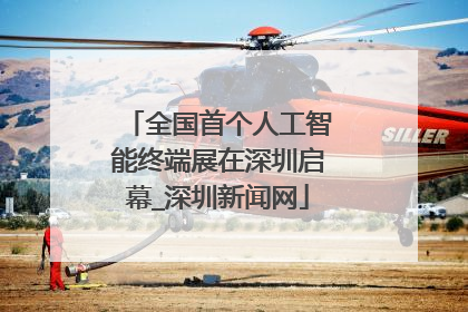 全国首个人工智能终端展在深圳启幕_深圳新闻网