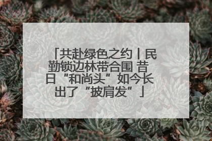 共赴绿色之约丨民勤锁边林带合围 昔日“和尚头”如今长出了“披肩发”