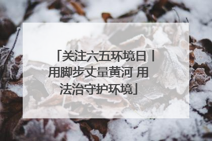 关注六五环境日丨用脚步丈量黄河 用法治守护环境