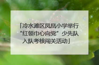 冷水滩区凤凰小学举行“红领巾心向党”少先队入队考核闯关活动