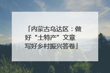 内蒙古乌达区：做好“土特产”文章 写好乡村振兴答卷
