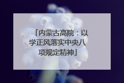 内蒙古高院：以学正风落实中央八项规定精神