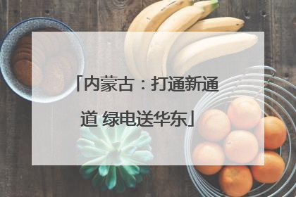 内蒙古：打通新通道 绿电送华东