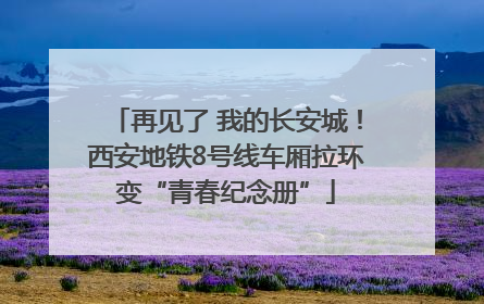 再见了 我的长安城！西安地铁8号线车厢拉环变“青春纪念册”