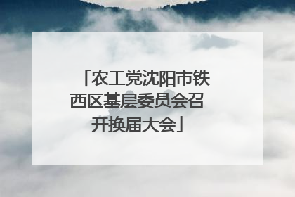 农工党沈阳市铁西区基层委员会召开换届大会