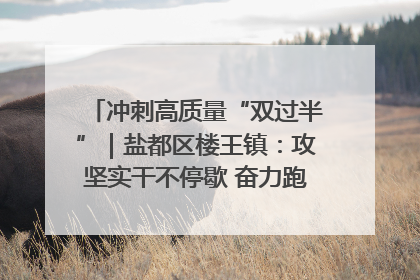 冲刺高质量“双过半”｜盐都区楼王镇：攻坚实干不停歇 奋力跑赢“上半场”