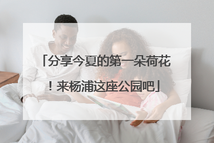 分享今夏的第一朵荷花！来杨浦这座公园吧