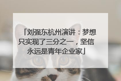 刘强东杭州演讲：梦想只实现了三分之一，坚信永远是青年企业家
