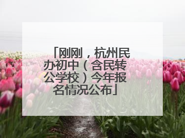 刚刚，杭州民办初中（含民转公学校）今年报名情况公布
