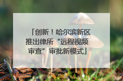 创新！哈尔滨新区推出律所“远程视频审查”审批新模式