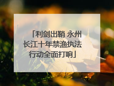 利剑出鞘 永州长江十年禁渔执法行动全面打响