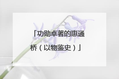 功勋卓著的惠通桥（以物鉴史）
