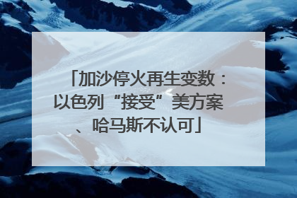 加沙停火再生变数：以色列“接受”美方案、哈马斯不认可