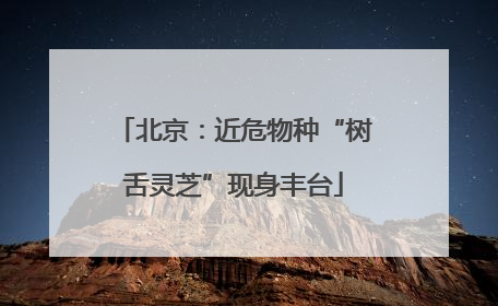 北京：近危物种“树舌灵芝”现身丰台