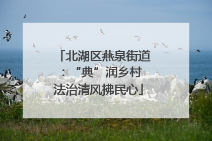 北湖区燕泉街道：“典”润乡村 法治清风拂民心