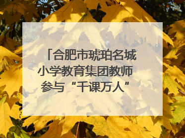 合肥市琥珀名城小学教育集团教师参与“千课万人”数学论坛活动