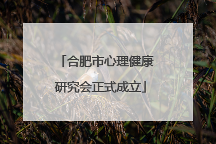 合肥市心理健康研究会正式成立