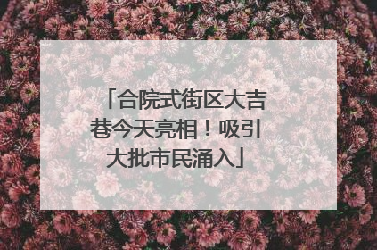 合院式街区大吉巷今天亮相！吸引大批市民涌入