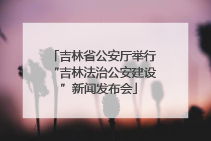 吉林省公安厅举行“吉林法治公安建设”新闻发布会