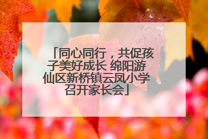 同心同行，共促孩子美好成长 绵阳游仙区新桥镇云凤小学召开家长会