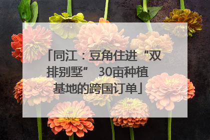 同江：豆角住进“双排别墅” 30亩种植基地的跨国订单
