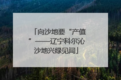 向沙地要“产值”——辽宁科尔沁沙地兴绿见闻