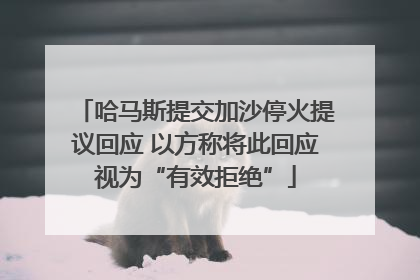 哈马斯提交加沙停火提议回应 以方称将此回应视为“有效拒绝”